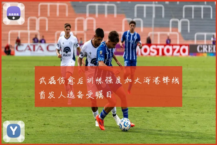 武磊伤愈后训练强度加大海港锋线首发人选备受瞩目